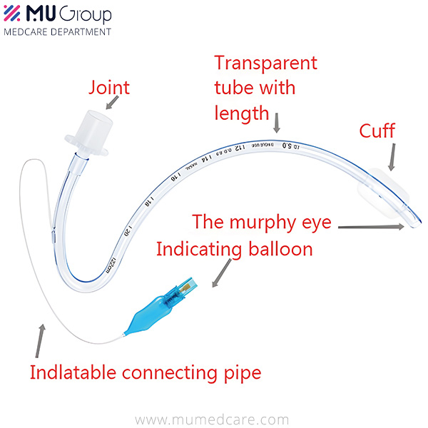 Endotracheal Tube Nasal Preformed