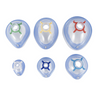 PVC Disposable Anesthesia Mask with Check Valve & Hook Ring, Various Sizes 0– 6, Transparent